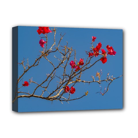 Santa Rita Flower Photo001 Deluxe Canvas 16  X 12  (stretched)  by dflcprintsclothing