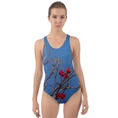 Santa Rita Flower Photo001 Cut-out Back One Piece Swimsuit by dflcprintsclothing