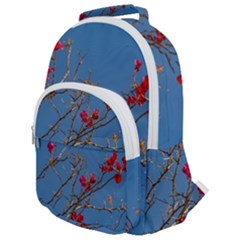 Santa Rita Flower Photo001 Rounded Multi Pocket Backpack by dflcprintsclothing