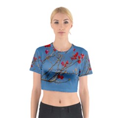 Santa Rita Flower Photo001 Cotton Crop Top by dflcprintsclothing