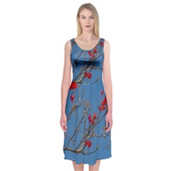 Santa Rita Flower Photo001 Midi Sleeveless Dress by dflcprintsclothing