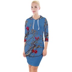 Santa Rita Flower Photo001 Quarter Sleeve Hood Bodycon Dress by dflcprintsclothing