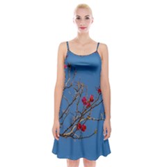 Santa Rita Flower Photo001 Spaghetti Strap Velvet Dress