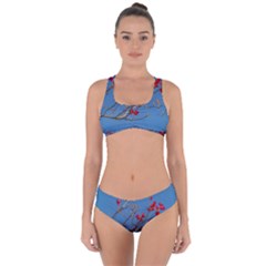 Santa Rita Flower Photo001 Criss Cross Bikini Set by dflcprintsclothing