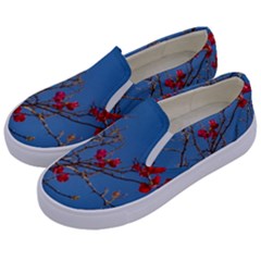 Santa Rita Flower Photo001 Kids  Canvas Slip Ons by dflcprintsclothing