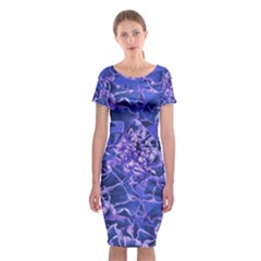 Vibrant Blue Flowers Pattern Motif Classic Short Sleeve Midi Dress