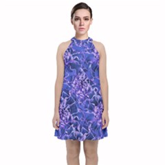 Vibrant Blue Flowers Pattern Motif Velvet Halter Neckline Dress  by dflcprintsclothing