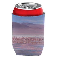 Bolivia-gettyimages-613059692 Can Holder