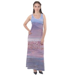 Bolivia-gettyimages-613059692 Sleeveless Velour Maxi Dress