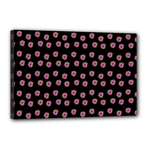 Peach Purple Daisy Flower Black Canvas 18  X 12  (stretched) by snowwhitegirl