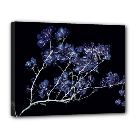 Photo Illustration Floral Canvas 14  X 11  (stretched) by dflcprintsclothing