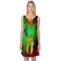 Pebbles In A Rainbow Pond Sleeveless Satin Nightdress View1