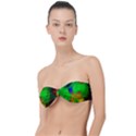 Pebbles In A Rainbow Pond Classic Bandeau Bikini Top  View1