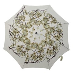 Photo Illustration Flower Over White Background Hook Handle Umbrellas (large)