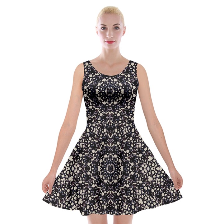 Modern Baroque Print Velvet Skater Dress