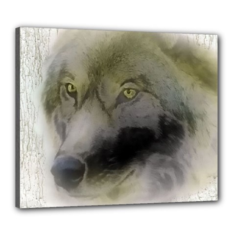 Wolf Evil Monster Canvas 24  X 20  (stretched) by HermanTelo