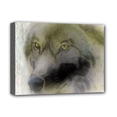 Wolf Evil Monster Deluxe Canvas 16  X 12  (stretched) 