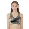 Wolf Evil Monster Sports Bra with Border View1