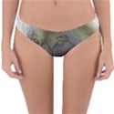 Wolf Evil Monster Reversible Hipster Bikini Bottoms View1