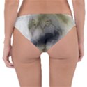 Wolf Evil Monster Reversible Hipster Bikini Bottoms View2