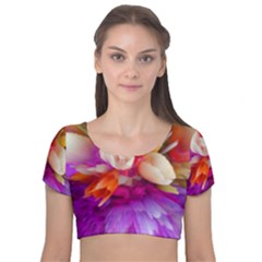 Poppy Flower Velvet Short Sleeve Crop Top  by Sparkle