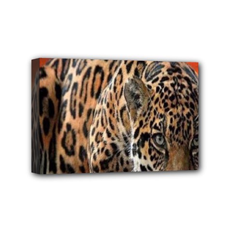 Nature With Tiger Mini Canvas 6  X 4  (stretched) by Sparkle