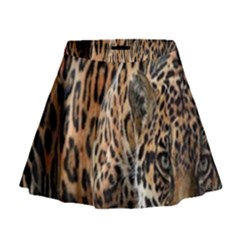 Nature With Tiger Mini Flare Skirt by Sparkle