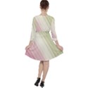 Pink Green Ruffle Dress View2