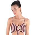 Strips Hole Woven Tie Front Bralet View1