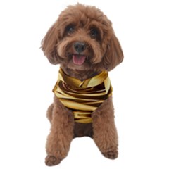 Gold Roses Dog Sweater by Sparkle