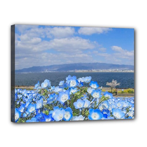 Floral Nature Canvas 16  X 12  (stretched) by Sparkle