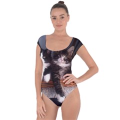 Cats Brothers Short Sleeve Leotard  by Sparkle