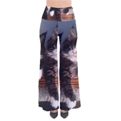 Cats Brothers So Vintage Palazzo Pants by Sparkle