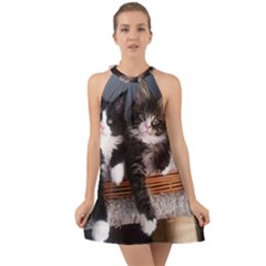 Cats Brothers Halter Tie Back Chiffon Dress by Sparkle