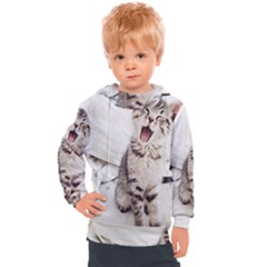 Laughing Kitten Kids  Hooded Pullover by Sparkle