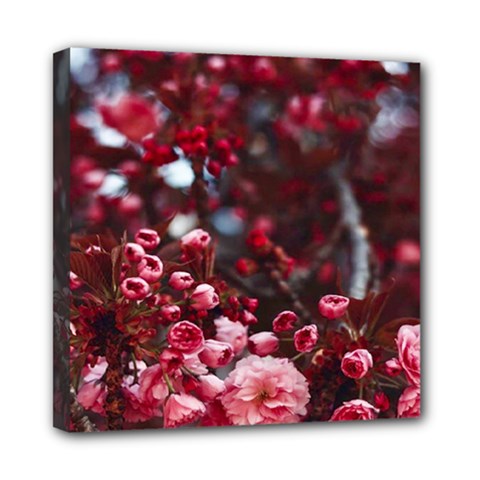 Red Floral Mini Canvas 8  X 8  (stretched) by Sparkle