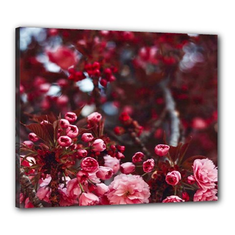 Red Floral Canvas 24  X 20  (stretched) by Sparkle