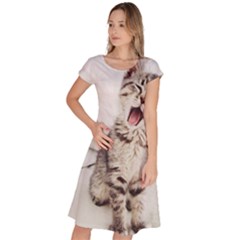 Laughing Kitten Classic Short Sleeve Dress by Sparkle