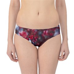 Red Floral Hipster Bikini Bottoms by Sparkle