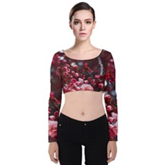 Red Floral Velvet Long Sleeve Crop Top by Sparkle