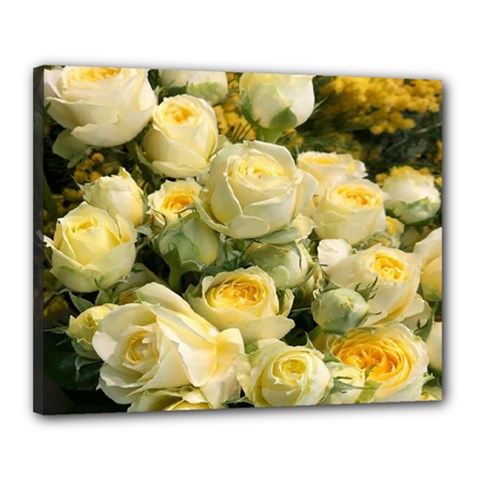 Yellow Roses Canvas 20  X 16  (stretched) by Sparkle