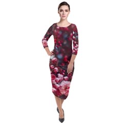 Red Floral Quarter Sleeve Midi Velour Bodycon Dress by Sparkle