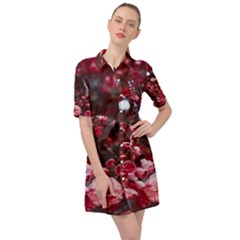 Red Floral Belted Shirt Dress