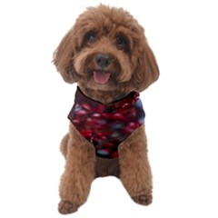 Red Floral Dog Sweater