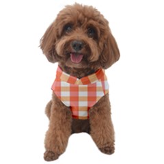 Gingham Duo Red On Orange Dog Sweater