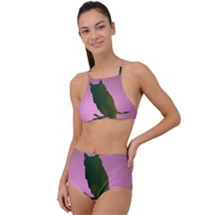 Owl Bird Branch Nature Animal High Waist Tankini Set