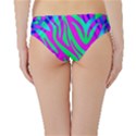 Wild And Crazy Zebra Hipster Bikini Bottoms View2