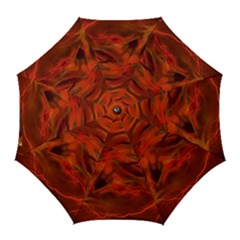 Fire Lion Flame Light Mystical Golf Umbrellas by HermanTelo