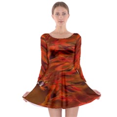 Fire Lion Flame Light Mystical Long Sleeve Skater Dress