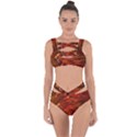 Fire Lion Flame Light Mystical Bandaged Up Bikini Set  View1